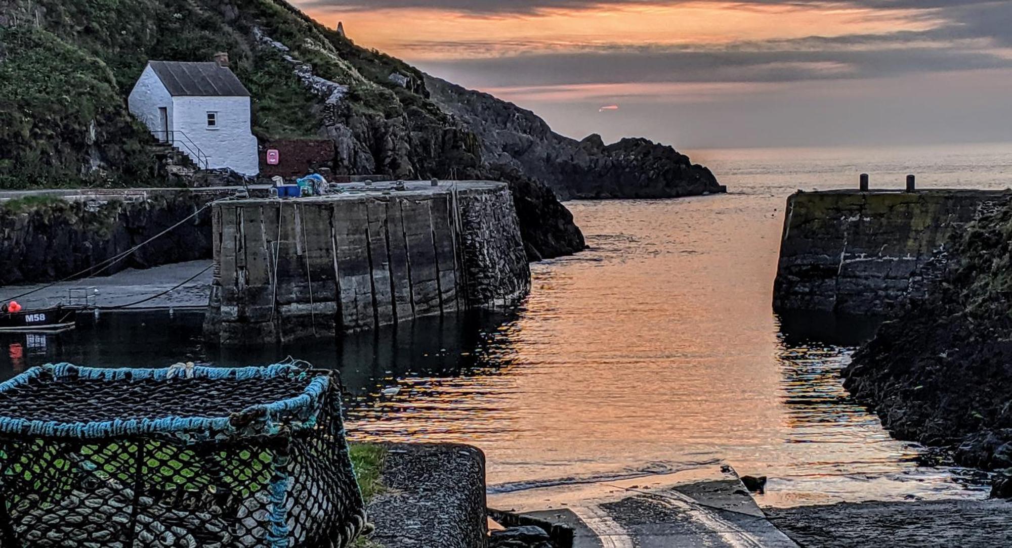 Ivybridge Guesthouse Fishguard Esterno foto