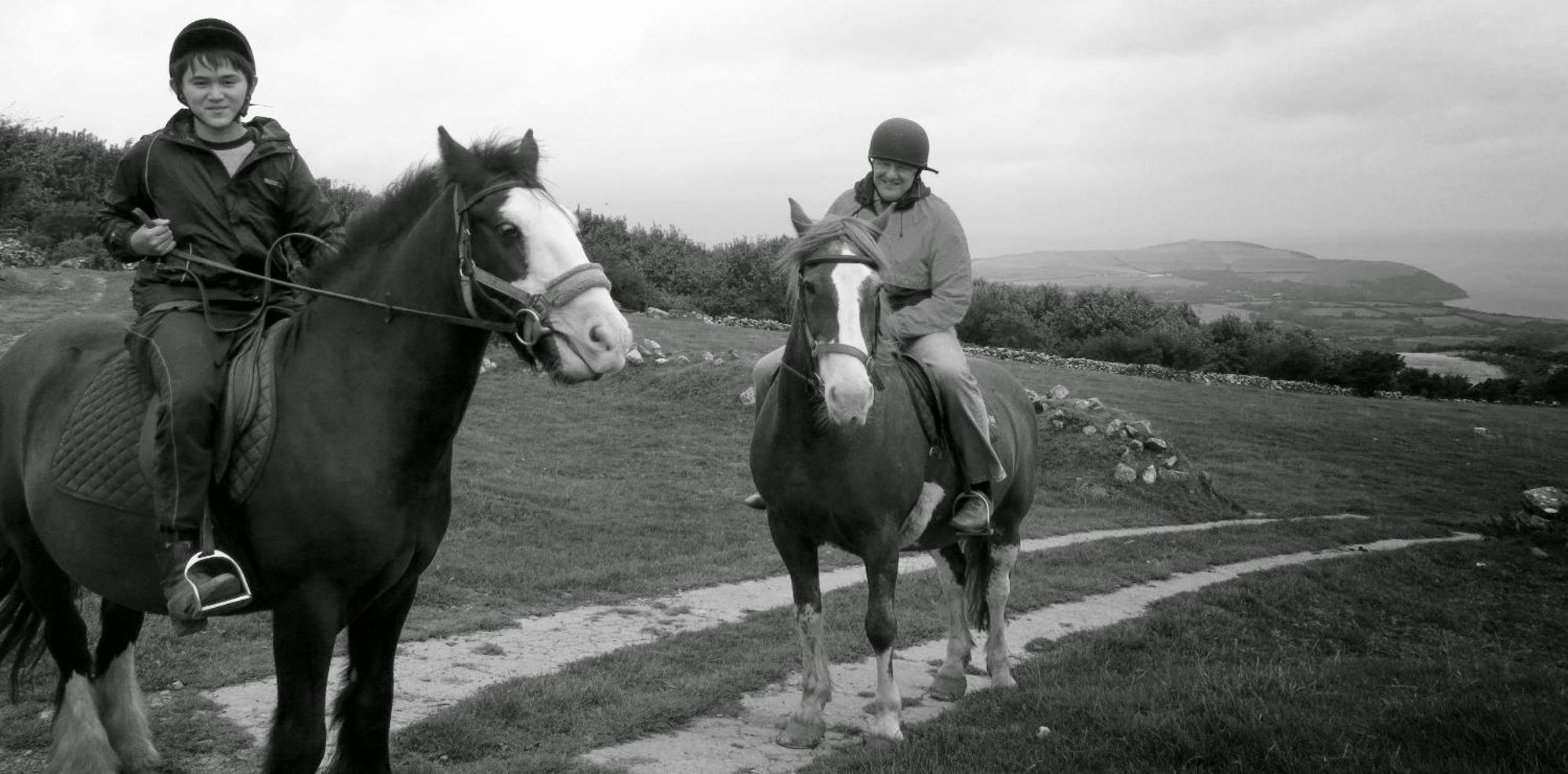 Ivybridge Guesthouse Fishguard Esterno foto