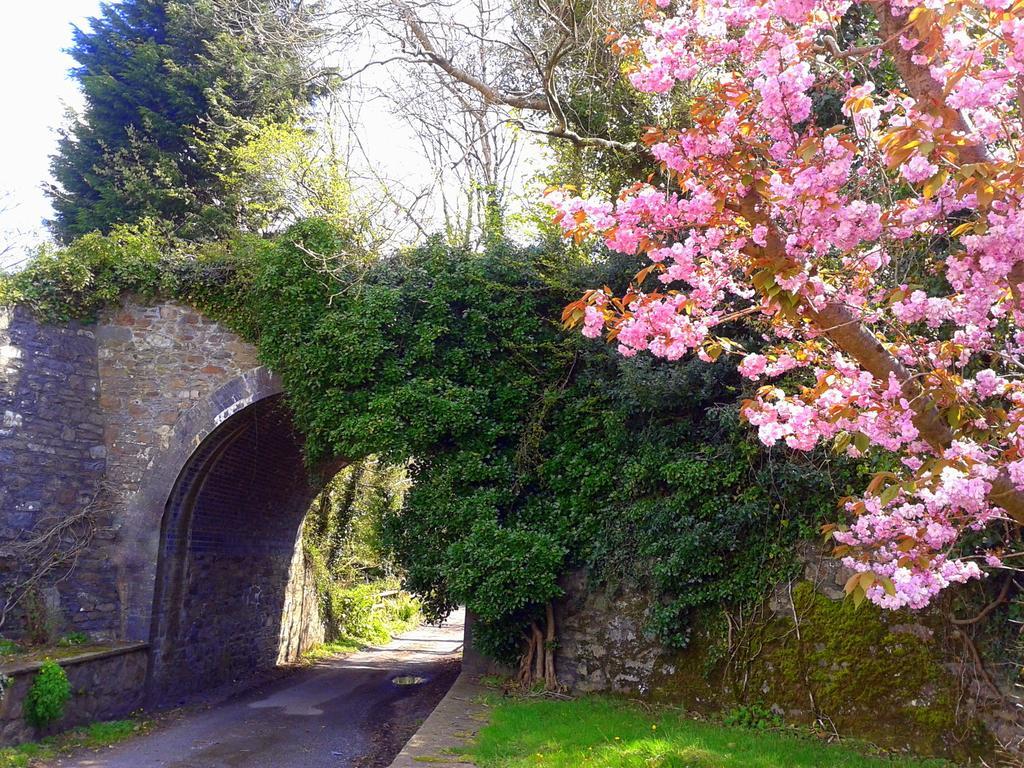 Ivybridge Guesthouse Fishguard Esterno foto