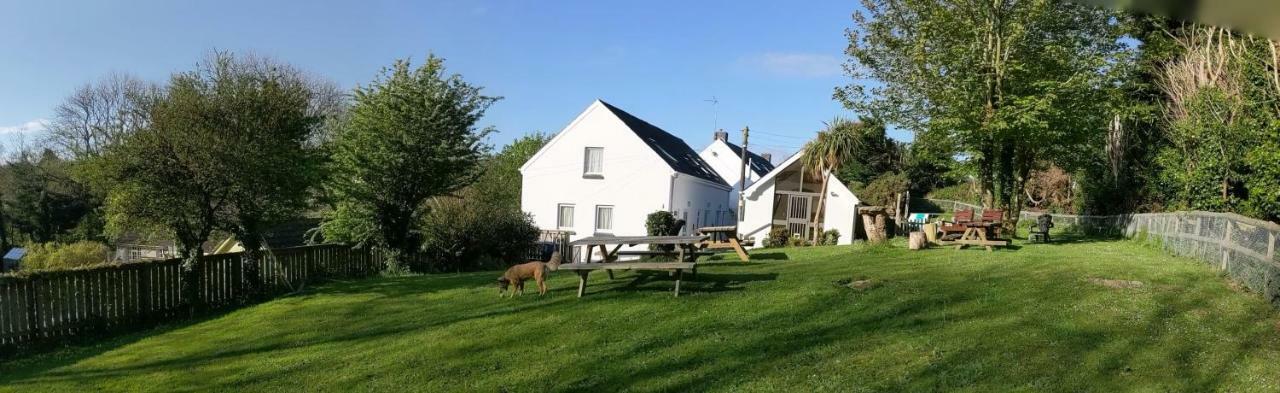 Ivybridge Guesthouse Fishguard Esterno foto